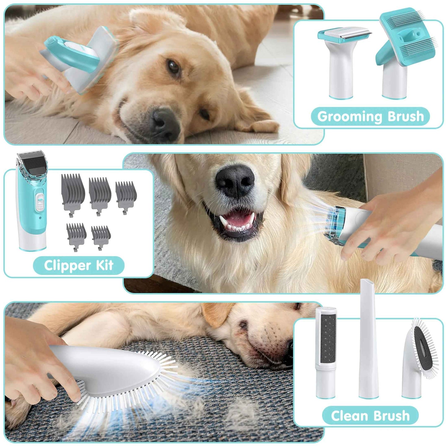 Professional 6-In-1 Dog Grooming Vacuum Kit - 11000PA High Suction & 1.5L Large Capacity | 99% Hair Removal with Complete Grooming Tools | High Suction Pet Vacuum for Professional Grooming - BINZAAR
