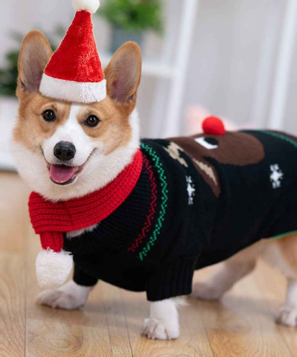 Dog Sweater with Santa Hat and Red Scarf for Dogs, Dog Christmas Sweater Pets Adjustable Santa Hat and Warm Winter Scarf for Dogs Cats Christmas Dressup - BINZAAR