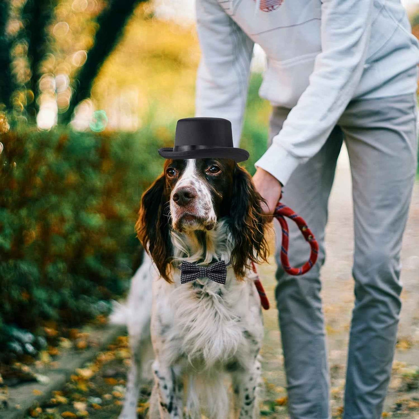 2 Pieces Pet Formal Accessories Set - Pet Top Hat with Pet Formal Necktie/Bowtie Birthday Party Gradation Halloween Costumes Accessories for Dog Cat (Black-B) One Size