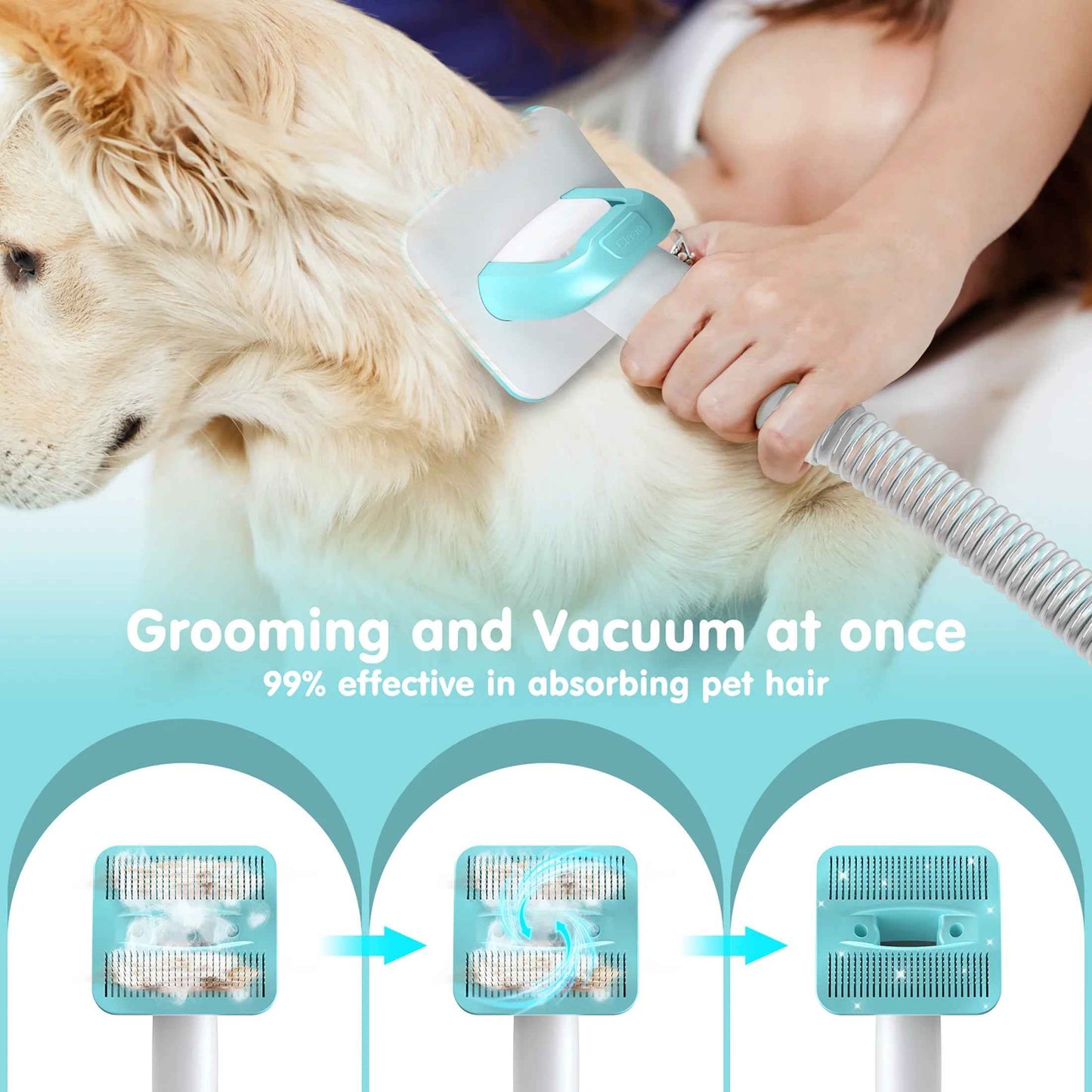 Professional 6-In-1 Dog Grooming Vacuum Kit - 11000PA High Suction & 1.5L Large Capacity | 99% Hair Removal with Complete Grooming Tools | High Suction Pet Vacuum for Professional Grooming - BINZAAR