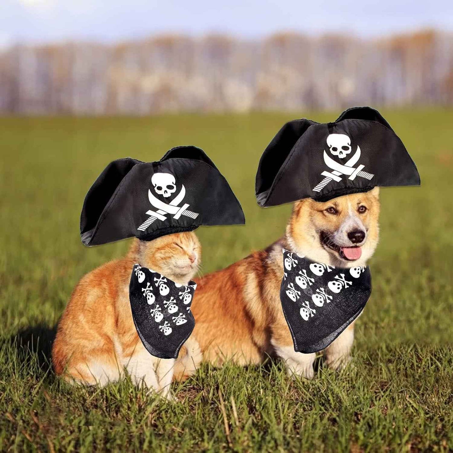 2 Pieces Pet Pirate Hat with Pirate Skull Bandana Pirate Cosplay Costume Accessories Photo Props for Cat Dog Puppy Halloween Dressing up (B) - BINZAAR