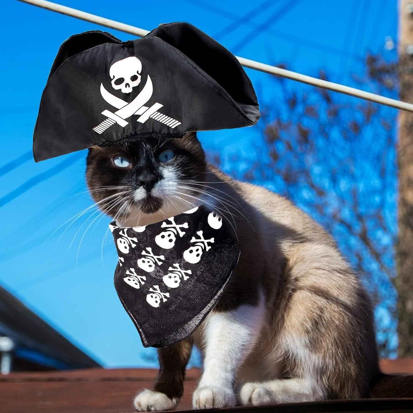 2 Pieces Pet Pirate Hat with Pirate Skull Bandana Pirate Cosplay Costume Accessories Photo Props for Cat Dog Puppy Halloween Dressing up (B) - BINZAAR