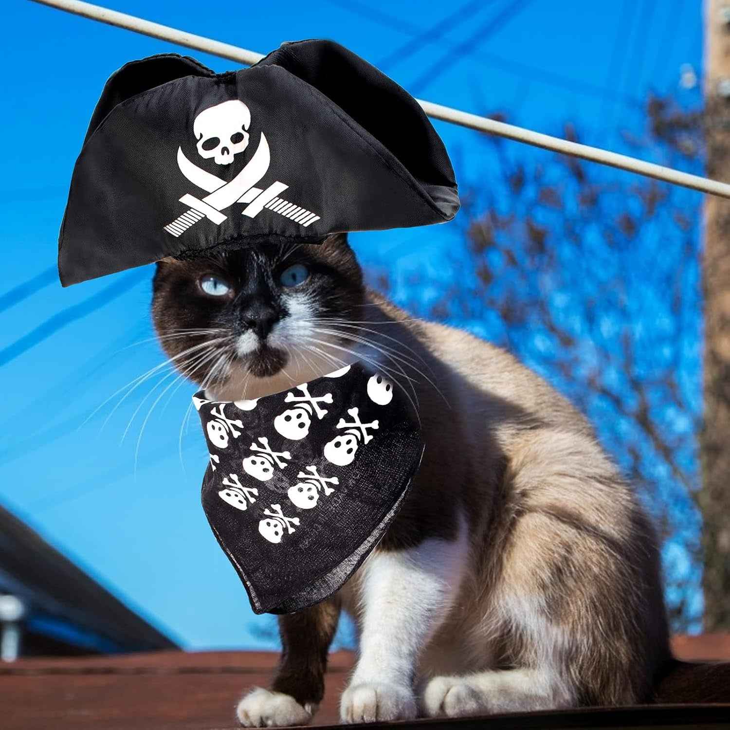 2 Pieces Pet Pirate Hat with Pirate Skull Bandana Pirate Cosplay Costume Accessories Photo Props for Cat Dog Puppy Halloween Dressing up (B) - BINZAAR