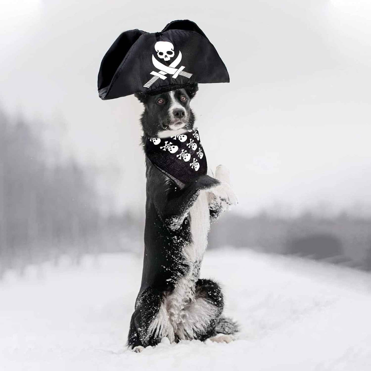 2 Pieces Pet Pirate Hat with Pirate Skull Bandana Pirate Cosplay Costume Accessories Photo Props for Cat Dog Puppy Halloween Dressing up (B) - BINZAAR