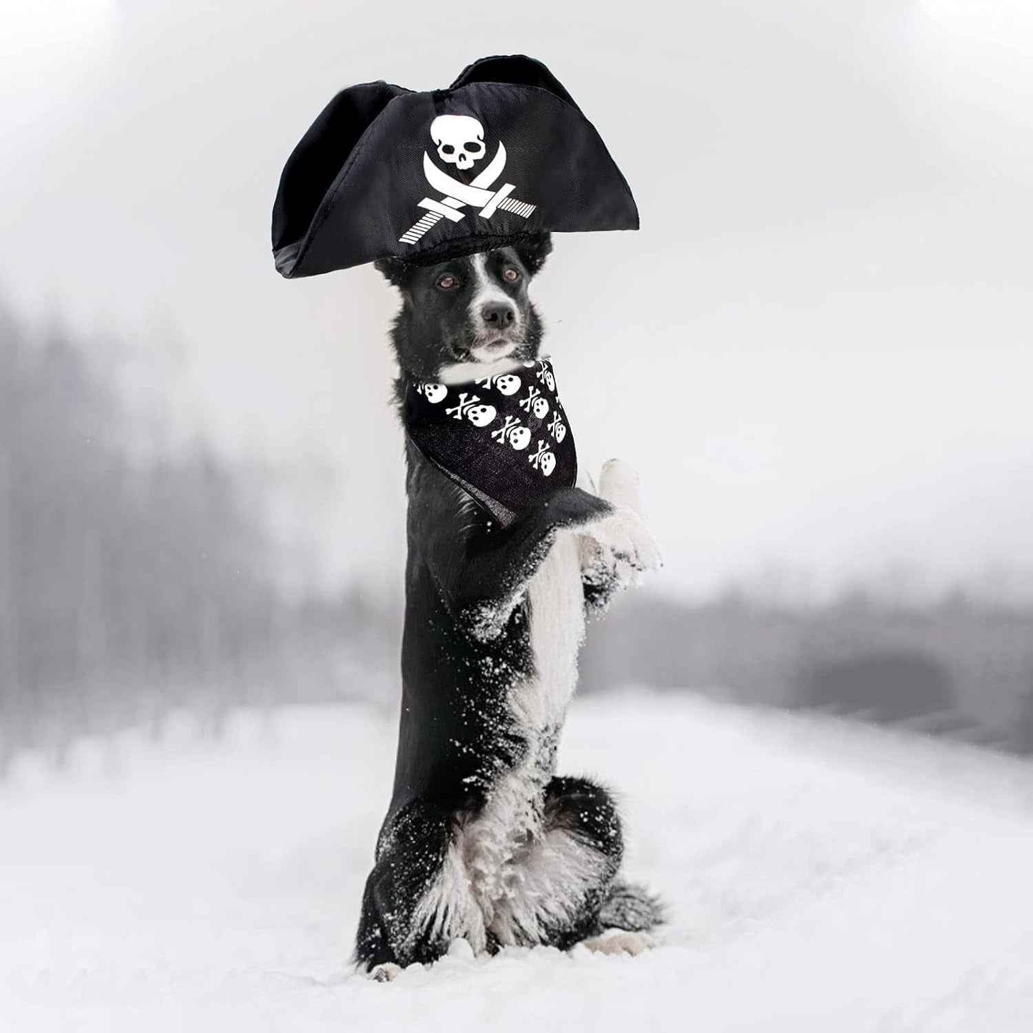 2 Pieces Pet Pirate Hat with Pirate Skull Bandana Pirate Cosplay Costume Accessories Photo Props for Cat Dog Puppy Halloween Dressing up (B) - BINZAAR