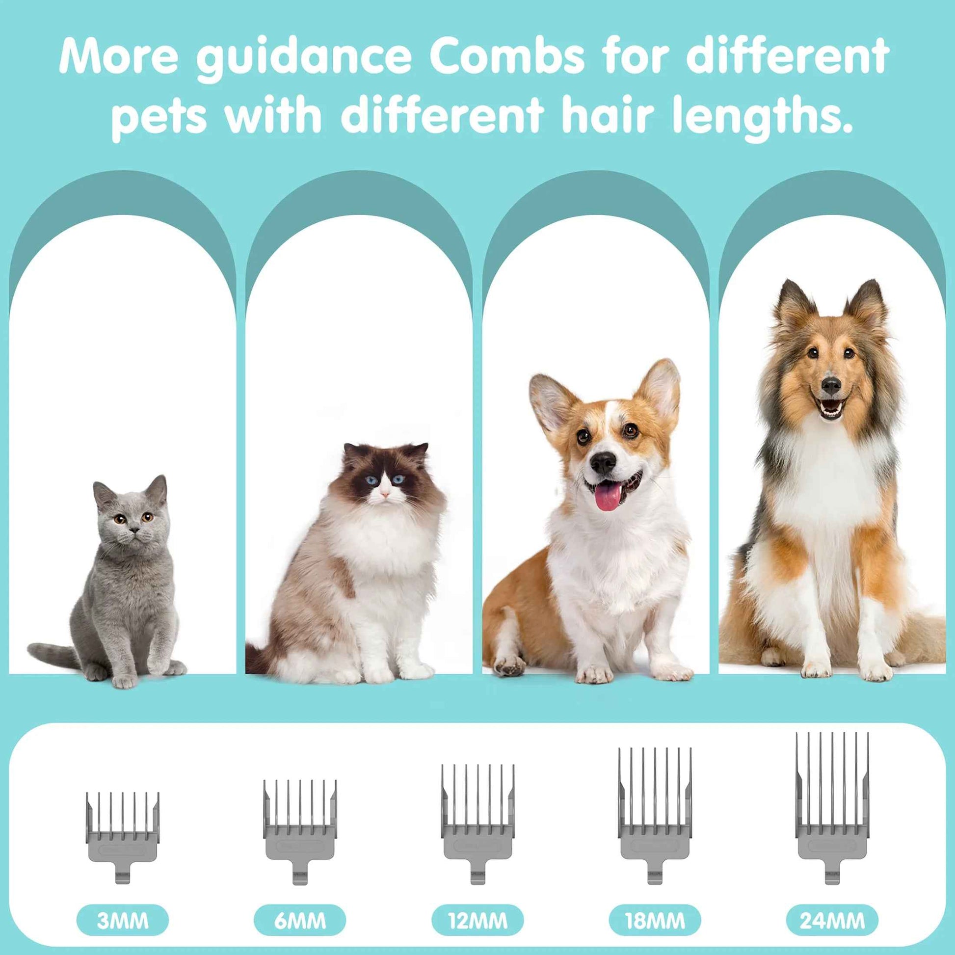Professional 6-In-1 Dog Grooming Vacuum Kit - 11000PA High Suction & 1.5L Large Capacity | 99% Hair Removal with Complete Grooming Tools | High Suction Pet Vacuum for Professional Grooming - BINZAAR